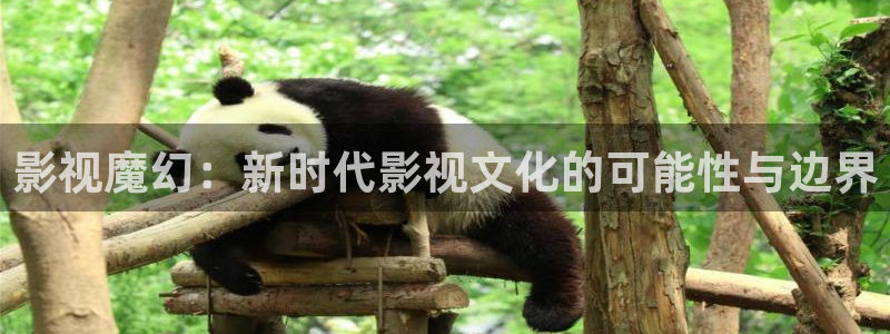 南瓜影视大全：影视魔幻：新时代影视文化的可能性与边界