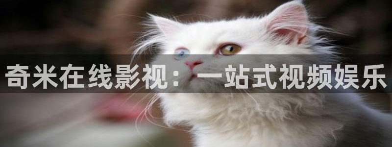 长南瓜：奇米在线影视：一站式视频娱乐