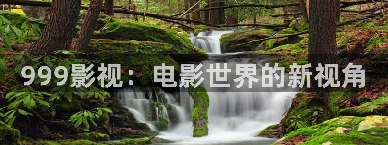 青州南瓜：999影视：电影世界的新视角