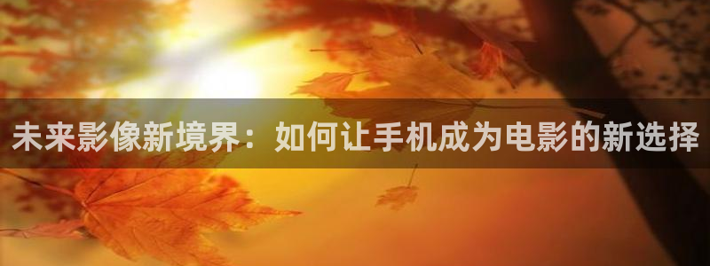 东北南瓜：未来影像新境界：如何让手机成为电影的新选择