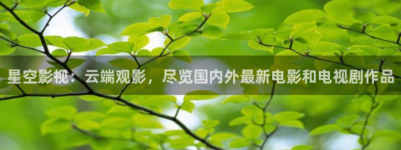 南瓜黑龙江：星空影视：云端观影，尽览国内外最新电影和电视剧作品