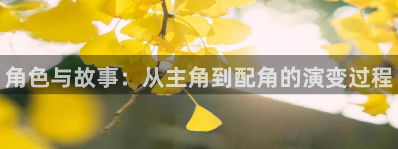 东北南瓜：角色与故事：从主角到配角的演变过程