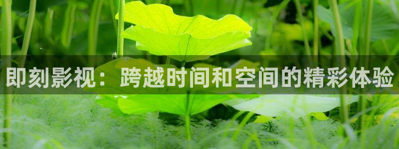 南瓜影院电视剧在线观看：即刻影视：跨越时间和空间的精彩体验