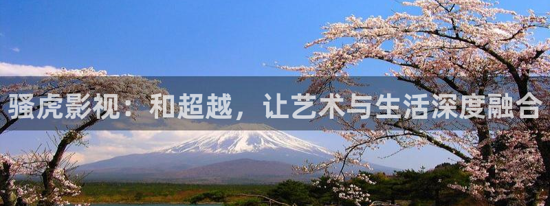 南瓜湖北：骚虎影视：和超越，让艺术与生活深度融合